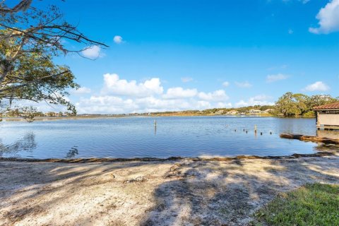 Land in Windermere, Florida № 1513174 - photo 27