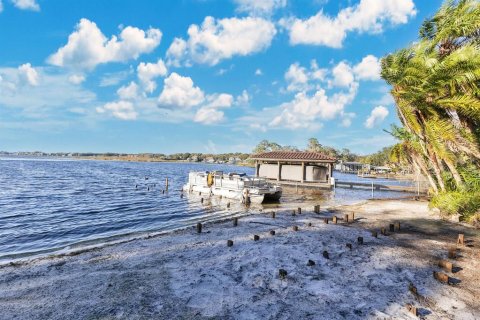 Land in Windermere, Florida № 1513174 - photo 12