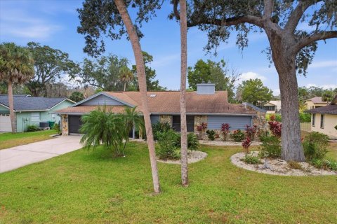 House in Homosassa, Florida 3 bedrooms, 204.57 sq.m. № 2093982