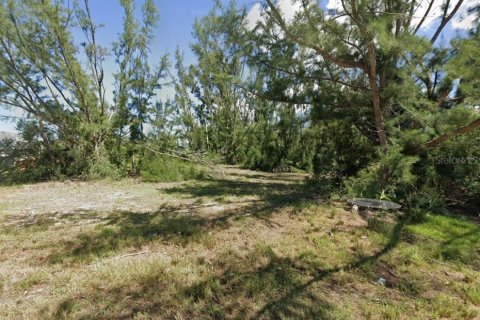 Terrain à vendre à Cape Coral, Floride № 1876899 - photo 3