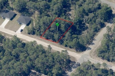 Land in Dunnellon, Florida № 2161550 - photo 2