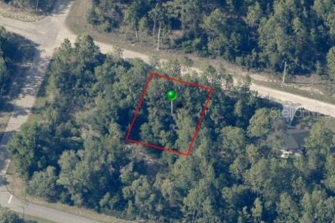 Land in Dunnellon, Florida № 2161550