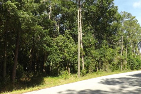Land in Lakeland, Florida № 1131188 - photo 5