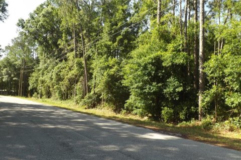Land in Lakeland, Florida № 1131188 - photo 4
