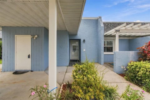 Condo in New Port Richey, Florida, 2 bedrooms  № 2391442 - photo 4