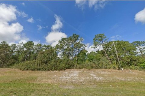 Terreno en venta en Polk City, Florida № 2235128 - foto 2