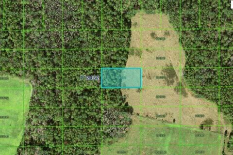 Terreno en Polk City, Florida № 2235128