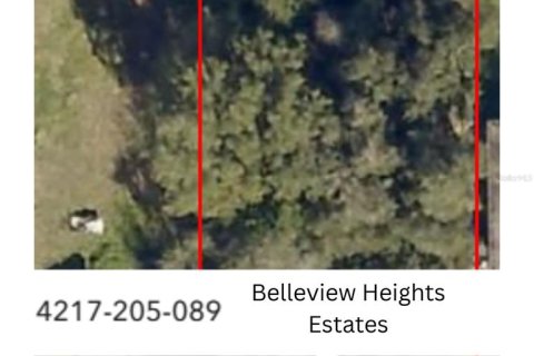 Land in Summerfield, Florida № 2162282 - photo 2