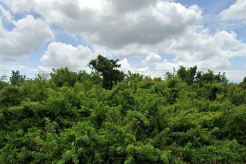 Terreno en venta en Rotonda, Florida № 2165499 - foto 2
