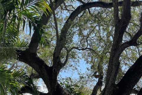 Copropriété à louer à Miami, Floride: 1 chambre, 72 m2 № 2046406 - photo 19