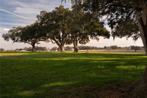 Land in Reddick, Florida № 2206267 - photo 5