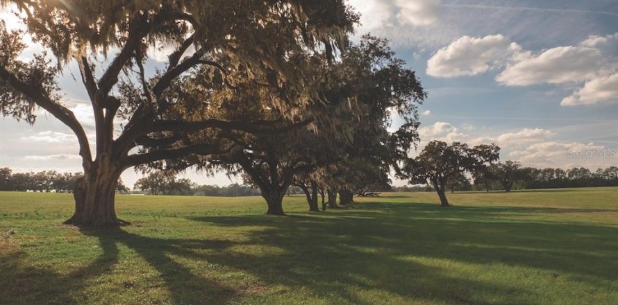 Land in Reddick, Florida № 2206267