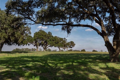 Land in Reddick, Florida № 2206267 - photo 6