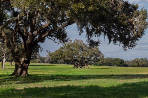 Land in Reddick, Florida № 2206267 - photo 8