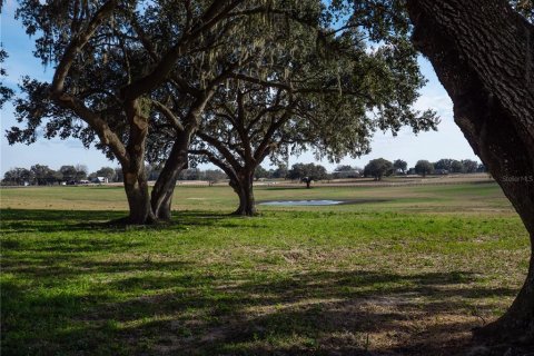 Land in Reddick, Florida № 2206267 - photo 9