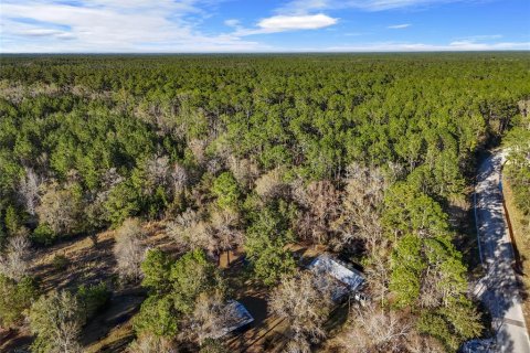 Villa ou maison à vendre à Lake City, Floride: 2 chambres, 72.84 m2 № 1573589 - photo 23