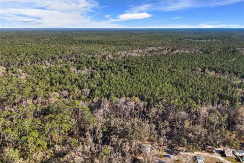 Villa ou maison à vendre à Lake City, Floride: 2 chambres, 72.84 m2 № 1573589 - photo 22