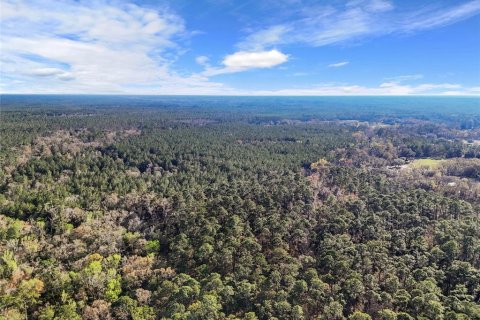 Villa ou maison à vendre à Lake City, Floride: 2 chambres, 72.84 m2 № 1573589 - photo 25
