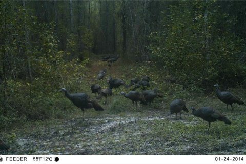 Villa ou maison à vendre à Lake City, Floride: 2 chambres, 72.84 m2 № 1573589 - photo 29