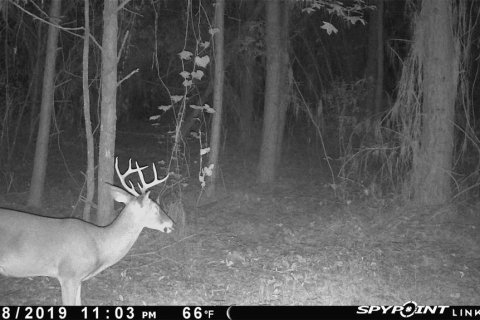 Villa ou maison à vendre à Lake City, Floride: 2 chambres, 72.84 m2 № 1573589 - photo 28