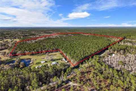 Villa ou maison à vendre à Lake City, Floride: 2 chambres, 72.84 m2 № 1573589 - photo 19