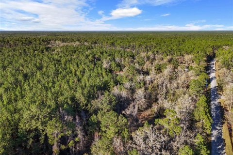 Villa ou maison à vendre à Lake City, Floride: 2 chambres, 72.84 m2 № 1573589 - photo 21