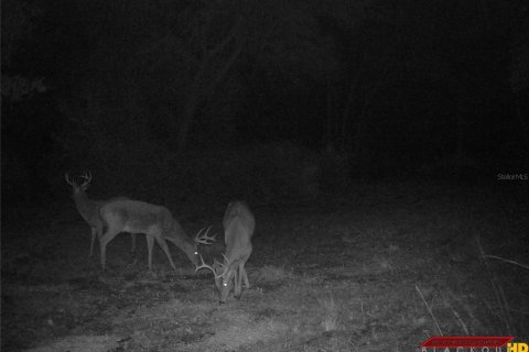 Villa ou maison à vendre à Lake City, Floride: 2 chambres, 72.84 m2 № 1573589 - photo 30