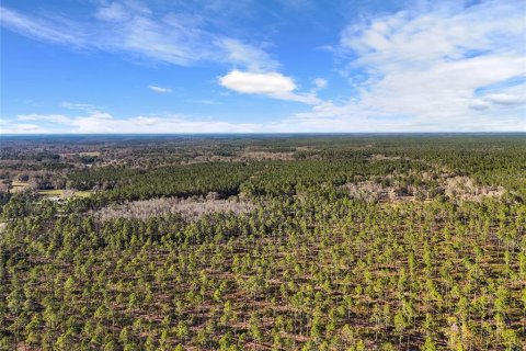 Villa ou maison à vendre à Lake City, Floride: 2 chambres, 72.84 m2 № 1573589 - photo 26