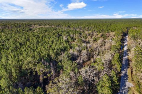 Villa ou maison à vendre à Lake City, Floride: 2 chambres, 72.84 m2 № 1573589 - photo 24