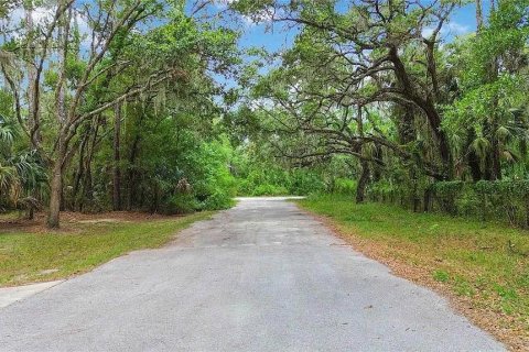 Land in Crystal River, Florida № 2103989 - photo 4