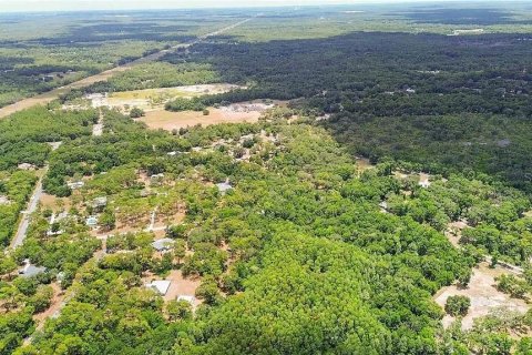 Land in Crystal River, Florida № 2103989 - photo 10