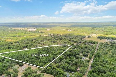 Land in Crystal River, Florida № 2103989 - photo 3