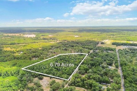 Land in Crystal River, Florida № 2103989 - photo 2