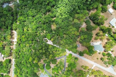 Land in Crystal River, Florida № 2103989 - photo 7