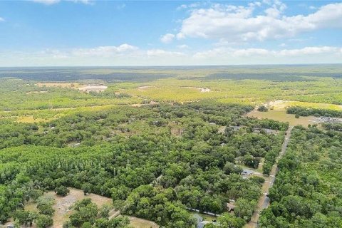 Land in Crystal River, Florida № 2103989 - photo 5