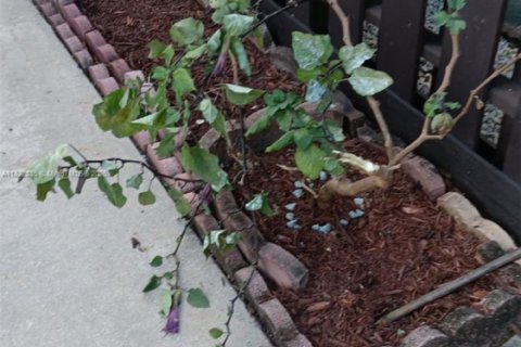 Снять в аренду кондоминиум в Майами, Флорида 1 спальня, 58.53м2, № 1941146 - фото 21