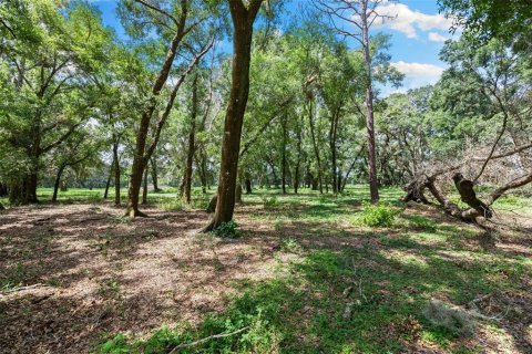 Villa ou maison à vendre à Spring Hill, Floride: 3 chambres, 148.64 m2 № 1900953 - photo 29