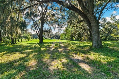 Villa ou maison à vendre à Spring Hill, Floride: 3 chambres, 148.64 m2 № 1900953 - photo 3
