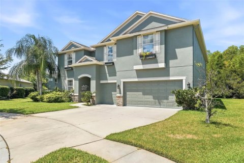 House in Land O' Lakes, Florida 7 bedrooms, 376.63 sq.m. № 2132020