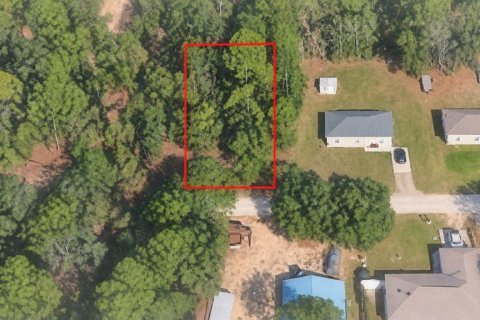 Land in Ocala, Florida № 2379799