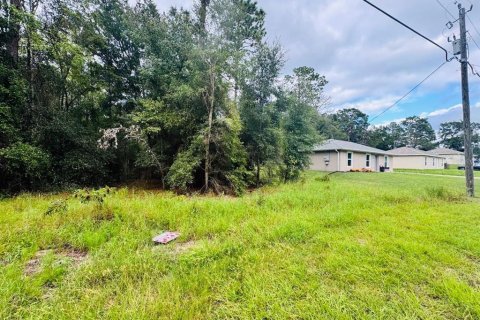 Land in Ocala, Florida № 2379799 - photo 2