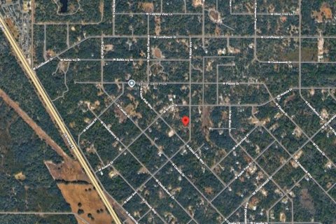 Land in Crystal River, Florida № 2158759 - photo 4