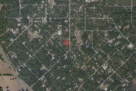 Land in Crystal River, Florida № 2158759 - photo 3
