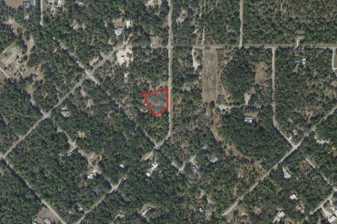Land in Crystal River, Florida № 2158759 - photo 2