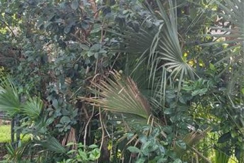 Land in Nokomis, Florida № 2234823
