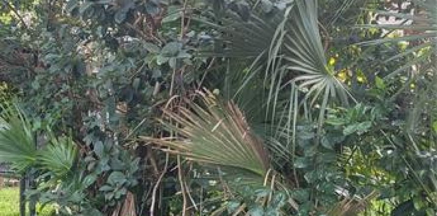 Land in Nokomis, Florida № 2234823