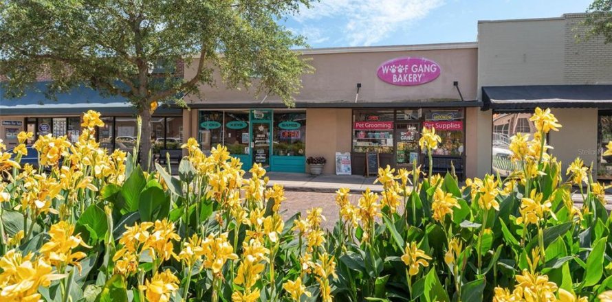 Immobilier commercial à Winter Garden, Floride 250.74 m2 № 1629692