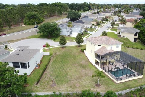 Land in Haines City, Florida № 2202317 - photo 2