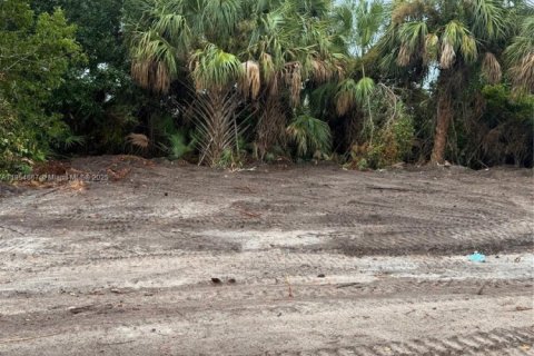 Land in Port St. Lucie, Florida № 1878591 - photo 2
