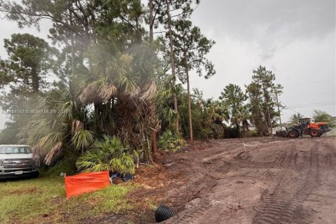 Land in Port St. Lucie, Florida № 1878591 - photo 4